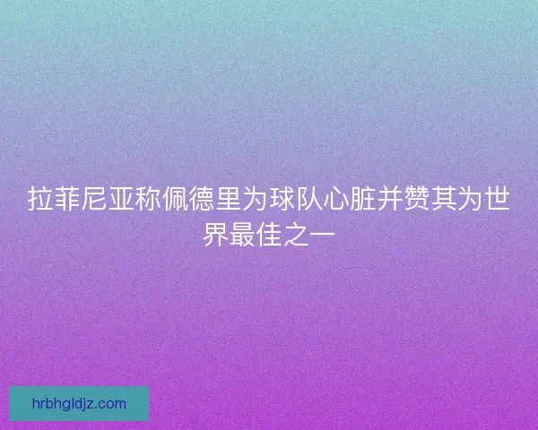 拉菲尼亚称佩德里为球队心脏并赞其为世界最佳之一