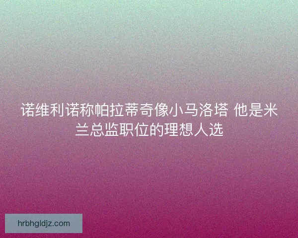 诺维利诺称帕拉蒂奇像小马洛塔 他是米兰总监职位的理想人选